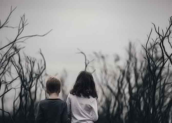 想买正版去哪的器测压文章